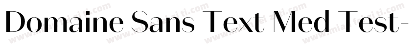 Domaine Sans Text Med Test字体转换